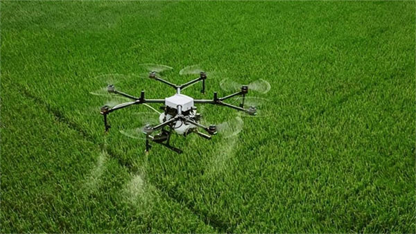 植保无人飞机施药防控小麦穗期病虫害指导意见