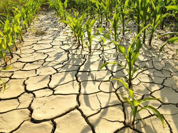 华北黄淮大部干旱局地重旱