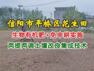 信阳市平桥区花生田使用润博盛生物有机肥