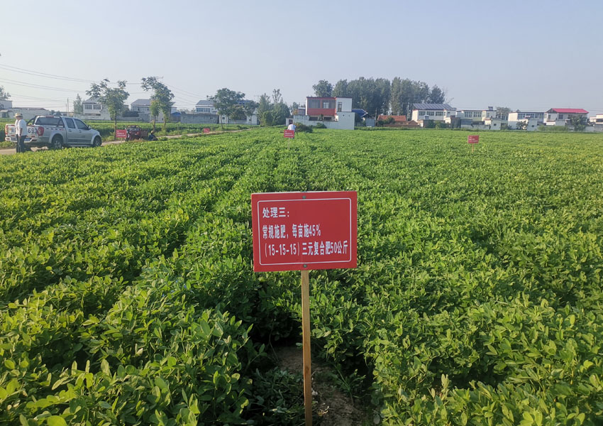 2024年科学施肥增效两提两调土壤改良集成技术土壤酸化调理试验