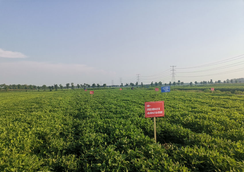 2024年科学施肥增效两提两调土壤改良集成技术土壤酸化调理试验