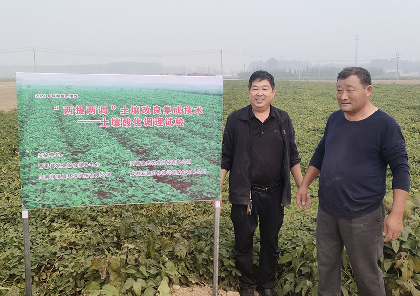 2024年10月8日西平县花生两提两调试验田测产取土